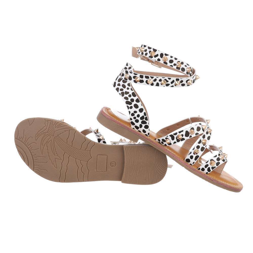 3946-leopardset2