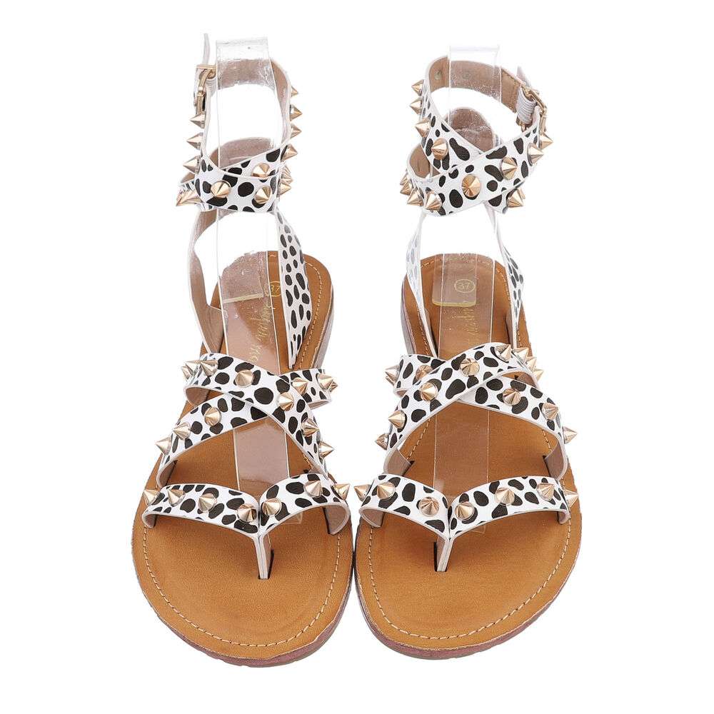 3946-leopardset4