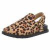 ch895-leopardset